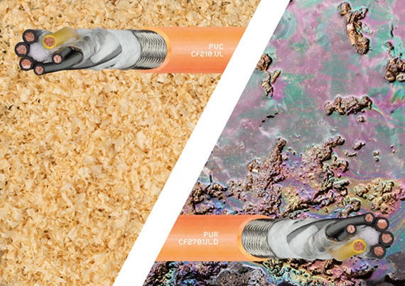 Онлайн-семинар по теме кабелей CF