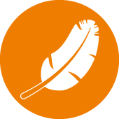 Легкая линейная направляющая drylin® W