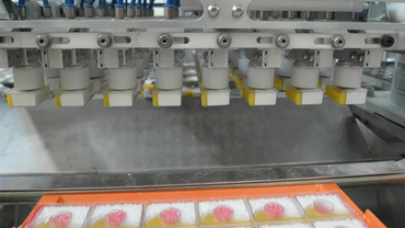 Gripper module in packaging plant